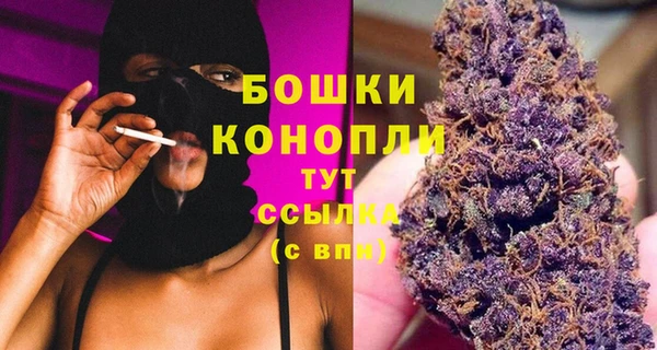 спиды Аркадак