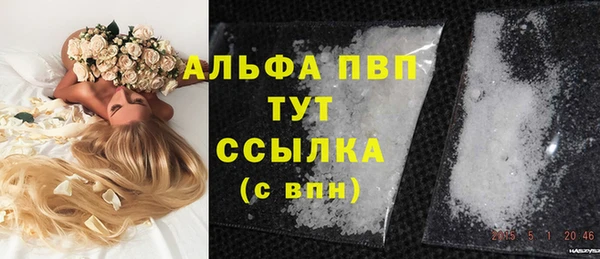 спиды Аркадак
