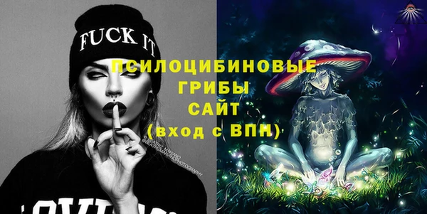 спиды Аркадак