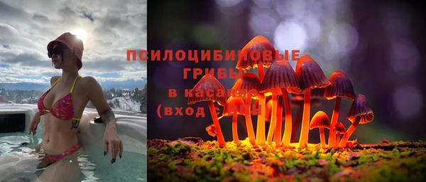 спиды Аркадак