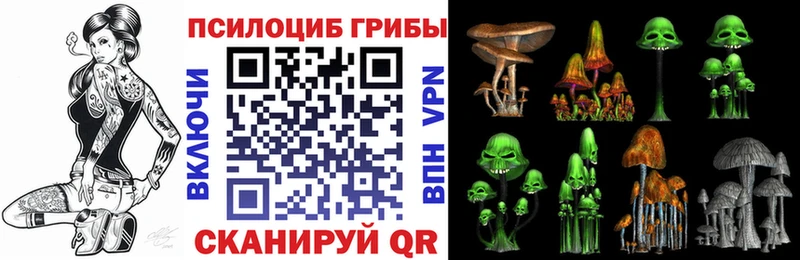 Галлюциногенные грибы мицелий  Георгиевск 
